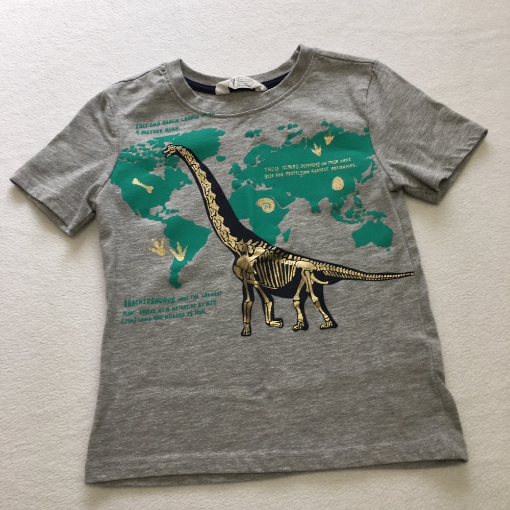 H&M grey short sleeve dinosaur shirt size 4-6Y